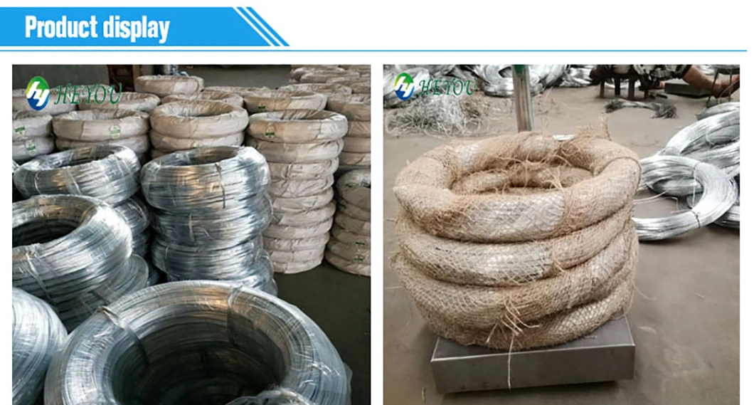Hot Sale China Hot Steel Wire Rod Price Bwg15 1.82mm Electro Galvanized Iron Wire/Nail Wire/Wire/Galvanized Steel Wire Rope/Steel/Steel Strand
